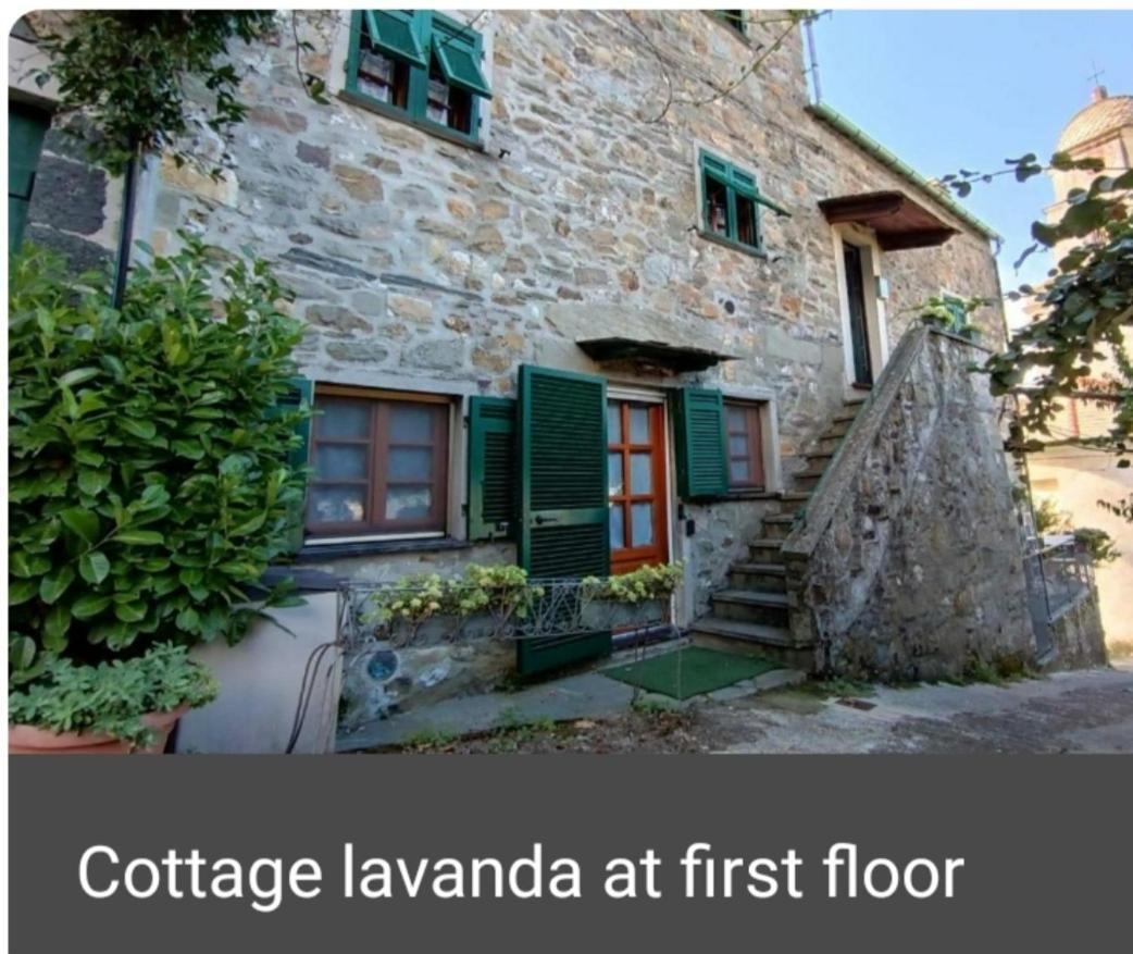 Cottage Lavanda Levanto Rom bilde